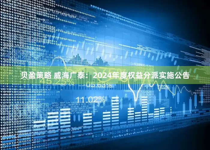 贝盈策略 威海广泰：2024年度权益分派实施公告