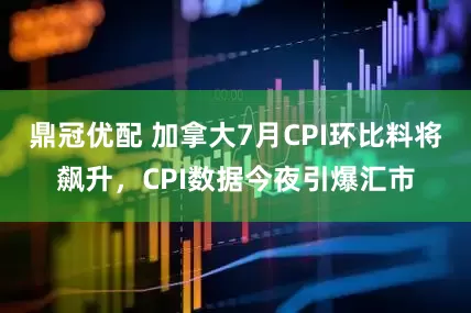 鼎冠优配 加拿大7月CPI环比料将飙升，CPI数据今夜引爆汇市